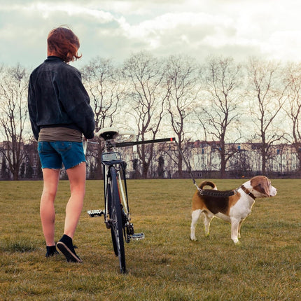 Bike Dog Leash Hands Free with Quick Release Buckle – image 6