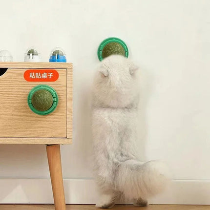 Cat Toy Ball with Catnip, Interactive Cat Toy That Sticks to Walls and Spins When Licked