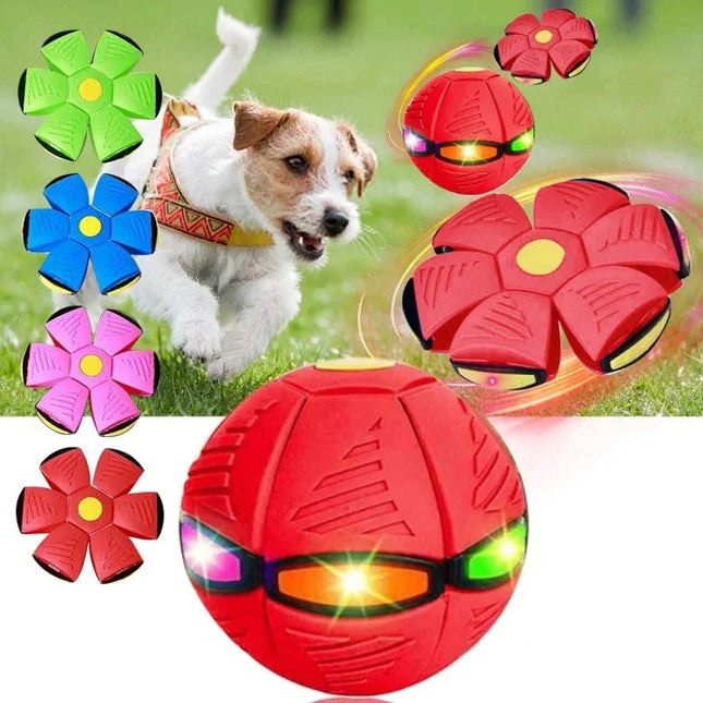 Interactive Dog Toys, Durable Dog Toy Ball for Catch Games, Flying Saucer Ball Dog Toy for Indoor and Outdoor Play