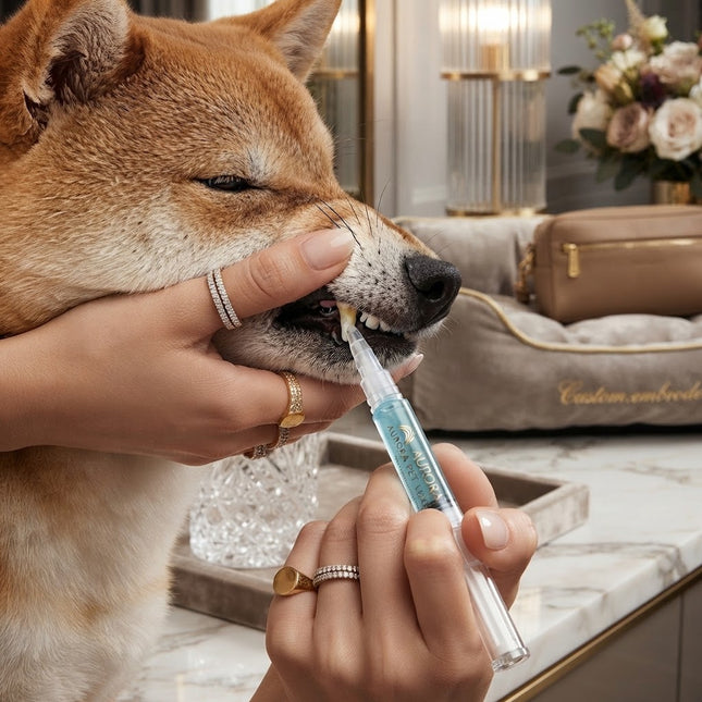 Dog Teeth Cleaner, Dog Toothpaste for Plaque and Tartar, Pet Tartar Remover Gel and Breath Freshener with Soft Brush