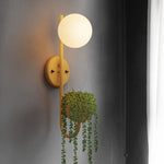 AquaSphere | Stylish Modern Industrial Wall Sconce Planter Lamp 0