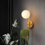 AquaSphere | Stylish Modern Industrial Wall Sconce Planter Lamp 7