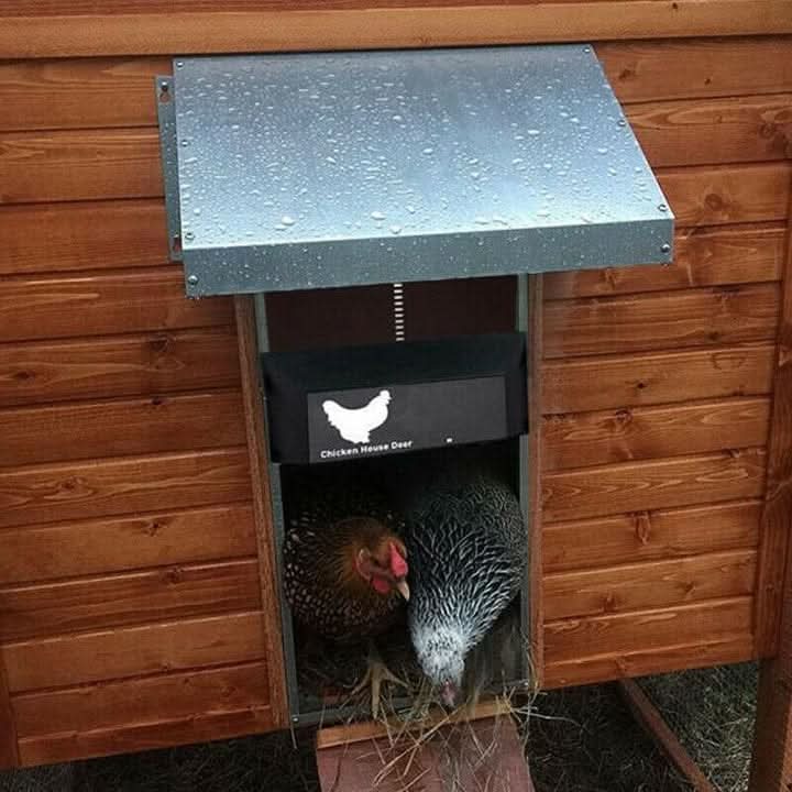 Automatic Chicken Coop Door with Light Sensor | Weatherproof Design for Effortless Poultry Access 4