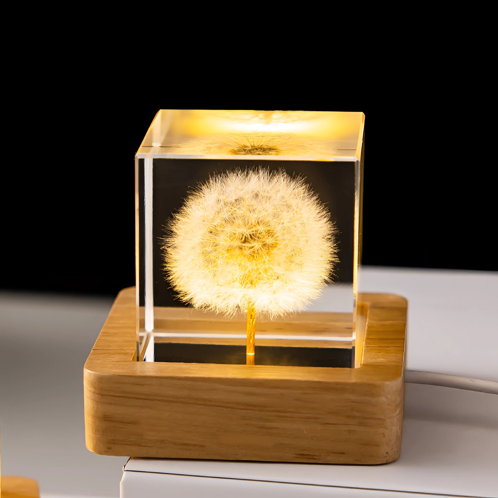Botanical Night Light | Dandelion Resin Lamp with LED Base for Enchanting Illumination 0