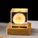 Botanical Night Light | Dandelion Resin Lamp with LED Base for Enchanting Illumination 0