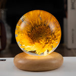 Botanical Night Light | Dandelion Resin Lamp with LED Base for Enchanting Illumination 12