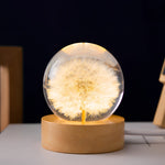 Botanical Night Light | Dandelion Resin Lamp with LED Base for Enchanting Illumination 3
