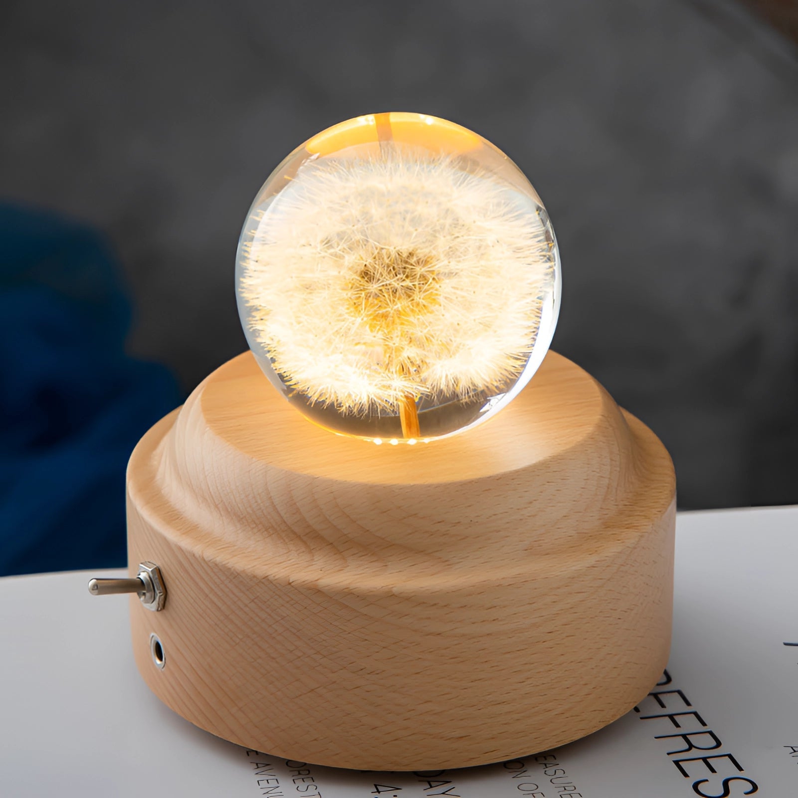 Botanical Night Light | Dandelion Resin Lamp with LED Base for Enchanting Illumination 4