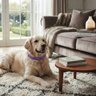 Cat Calming Collar, Dog Calming Aid for Anxiety, Waterproof Dog Calming Collar with Pheromone and Essential Oils