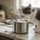 Cat Drinking Fountain with Motion Sensor, 2L Cat Fountain Stainless Steel with 4 Layer Filter, Cat Water Dispenser