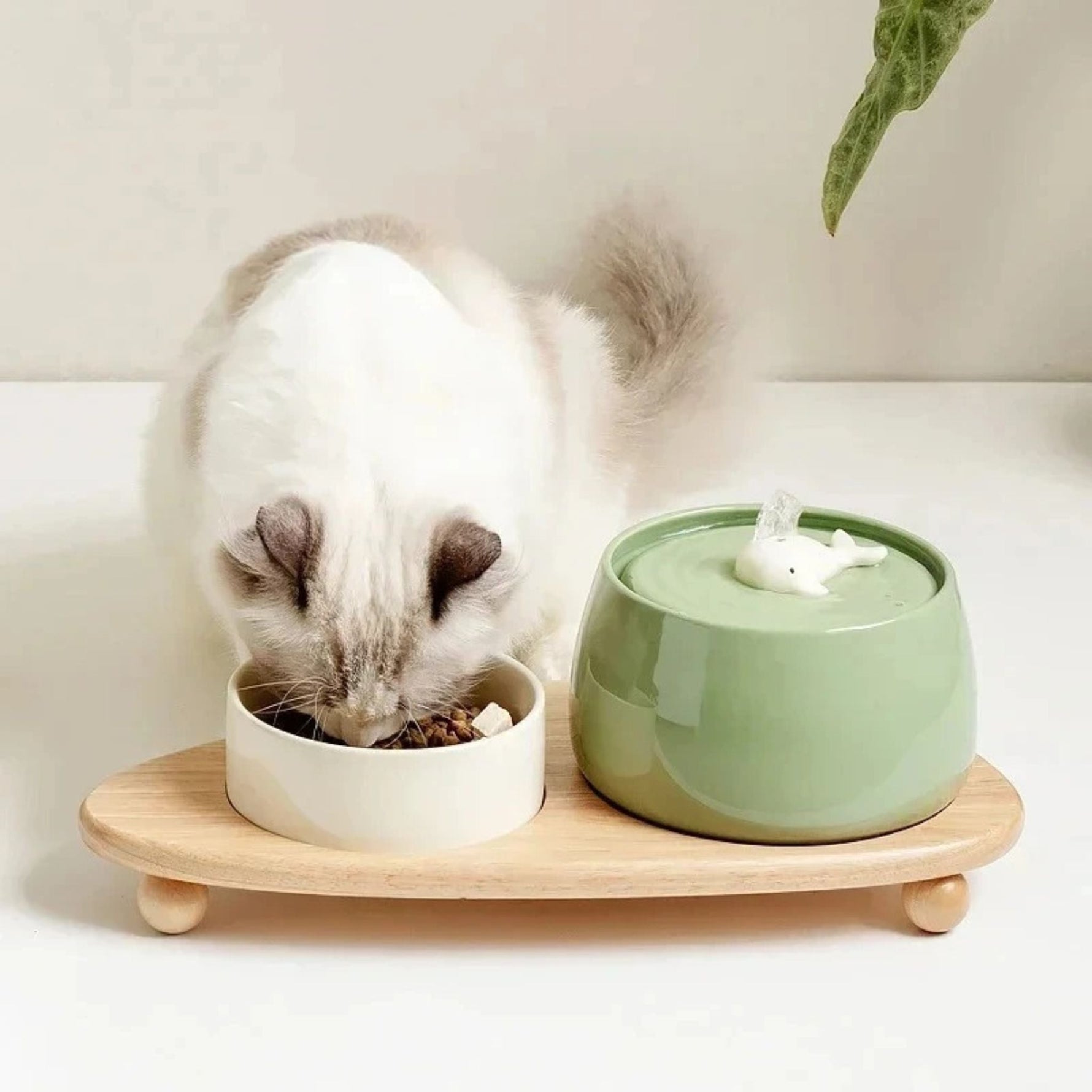 Ceramic Cat Water Fountain with Dual Filtration System | Fresh Flowing Water for Healthy Hydration 8