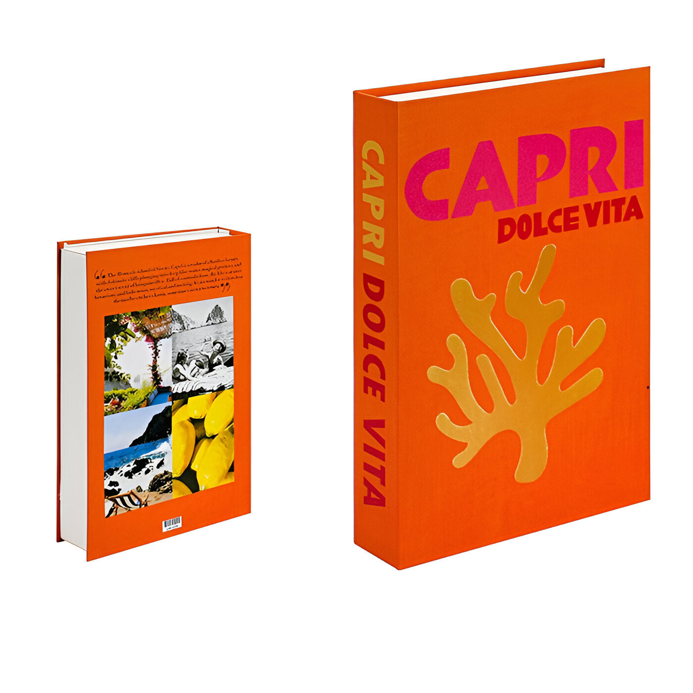ChicFaux | Decorative Coffee Table Books with Unique Titles | Stylish Storage for Home Decor 7