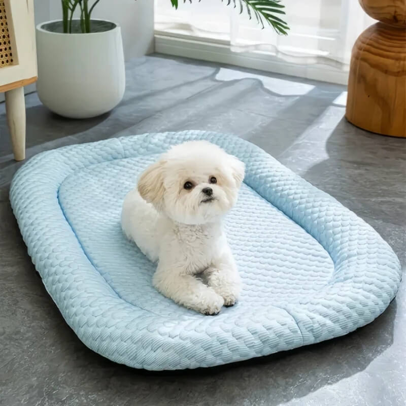 ChillPaws | Cooling Dog Bed with Multi-Layered Design | Comfortable Resting Spot for Hot Days 0