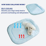 ChillPaws | Cooling Dog Bed with Multi-Layered Design | Comfortable Resting Spot for Hot Days 5