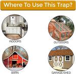 CleanCatch | Humane Mouse Trap with Non-Toxic Design | Safe Rodent Control for Home 1