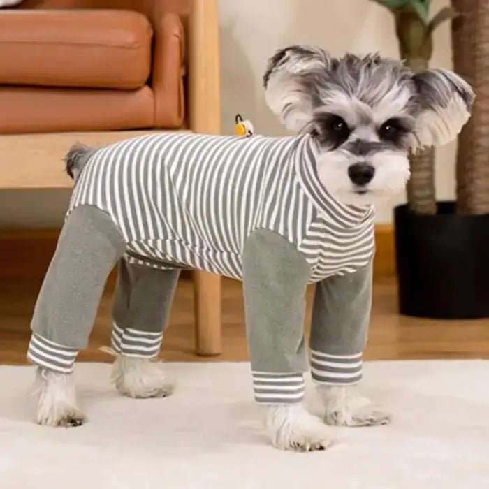 Comfort Fit | Dog Recovery Suit with Full Body Coverage & Long Sleeves | Stylish Protection for Post-Surgery Healing 0