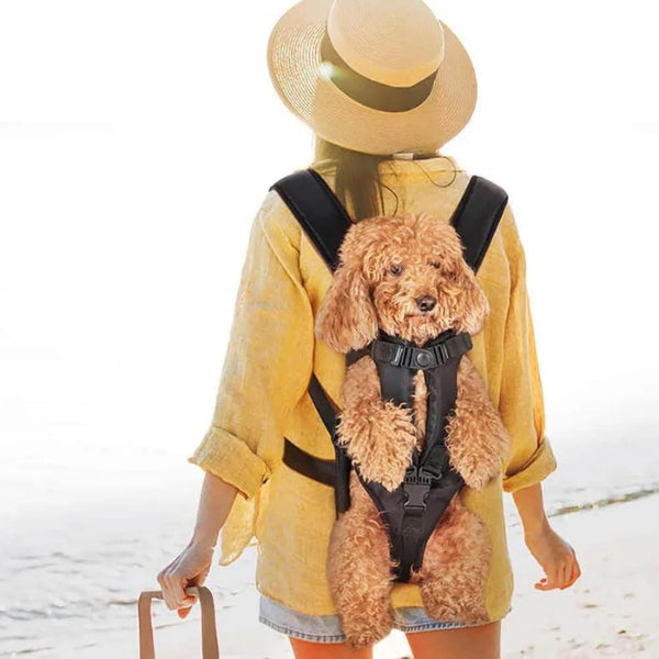 Comfortable Pet Carrier Cockpit with Waterproof Fabric & Breathable Design for Dogs and Cats 0
