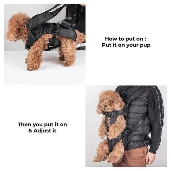 Image alt