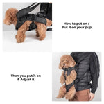 Comfortable Pet Carrier Cockpit with Waterproof Fabric & Breathable Design for Dogs and Cats 3