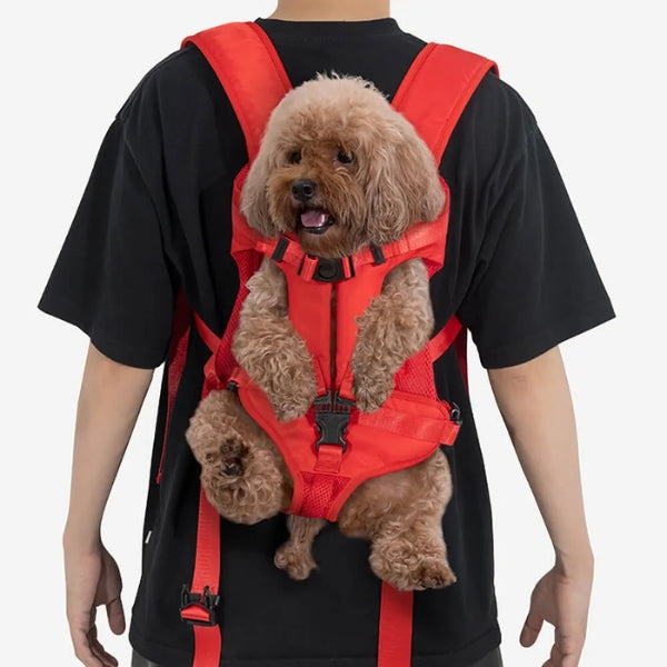 Comfortable Pet Carrier Cockpit with Waterproof Fabric & Breathable Design for Dogs and Cats 8