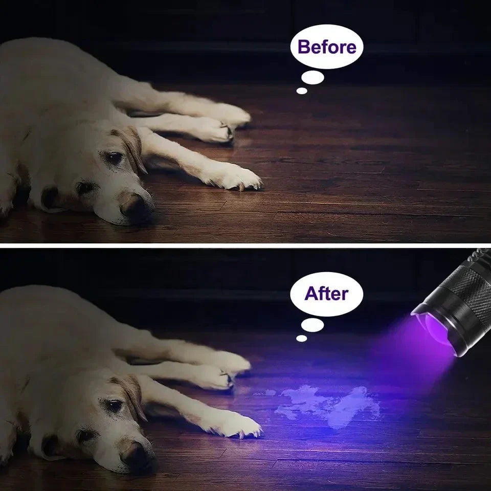 Compact UV Flashlight | LED Inspection Lamp for Stain Detection | Portable Tool for Home Cleaning 4