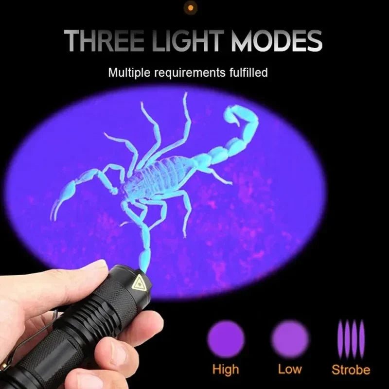 Compact UV Flashlight | LED Inspection Lamp for Stain Detection | Portable Tool for Home Cleaning 6