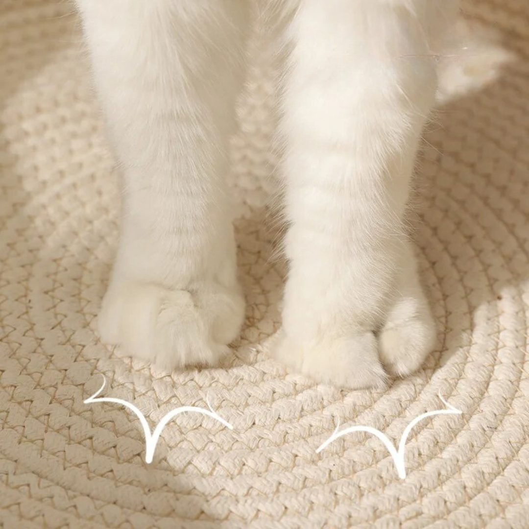 CozyNest | Handwoven Cotton Rope Bed for Cats with Stylish Design | Comfortable and Durable Cat Bed 5