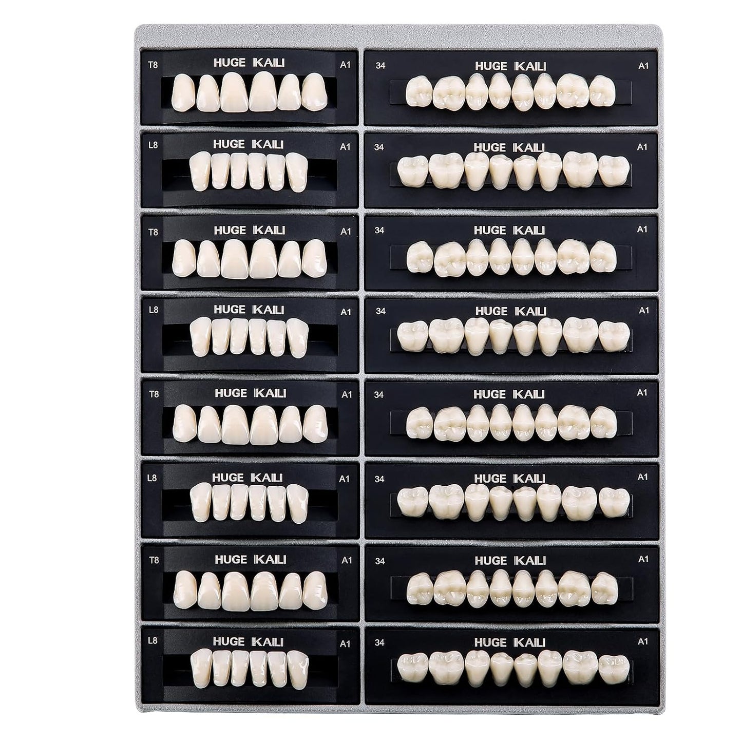 Dental Acrylic Resin Teeth Set | 112 Pcs Realistic Dentures for Natural Smiles 0