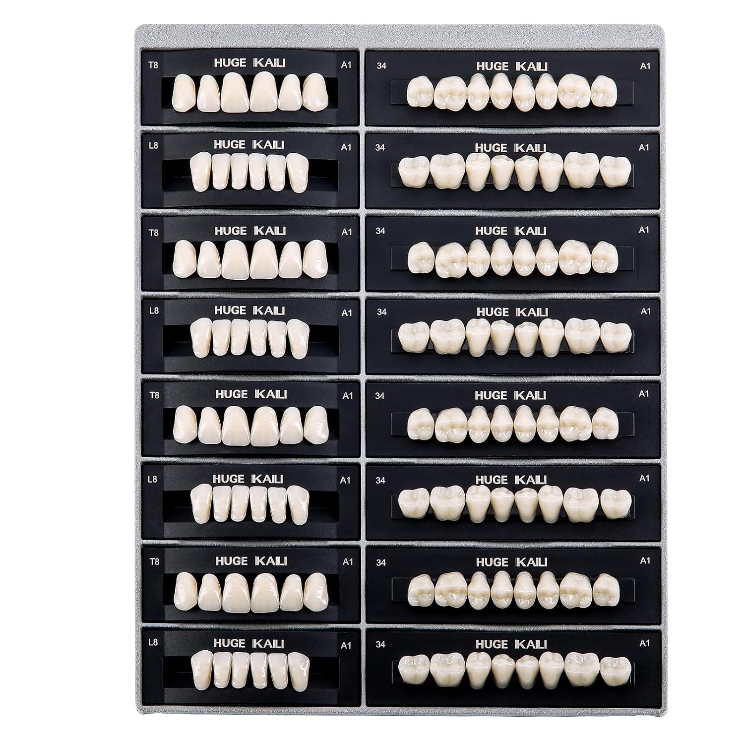 Dental Acrylic Resin Teeth Set | 112 Pcs Realistic Dentures for Natural Smiles 0