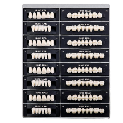 Dental Acrylic Resin Teeth Set | 112 Pcs Realistic Dentures for Natural Smiles 0