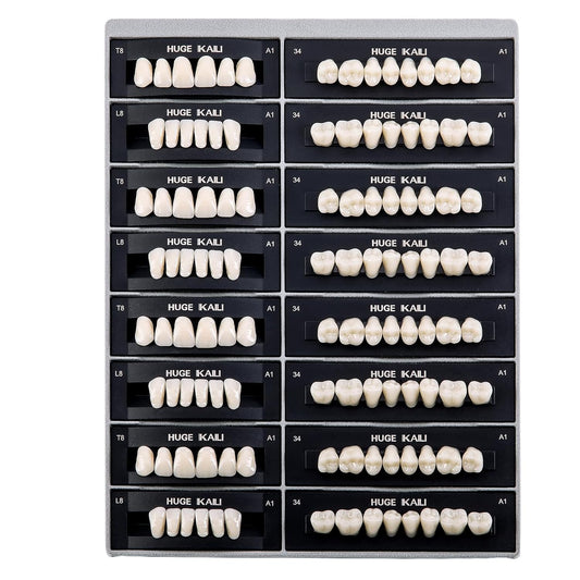 Dental Acrylic Resin Teeth Set | 112 Pcs Realistic Dentures for Natural Smiles 0