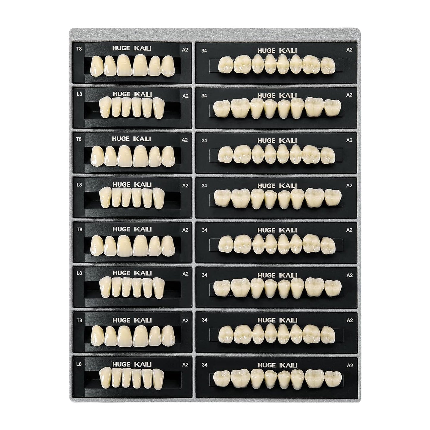 Dental Acrylic Resin Teeth Set | 112 Pcs Realistic Dentures for Natural Smiles 2
