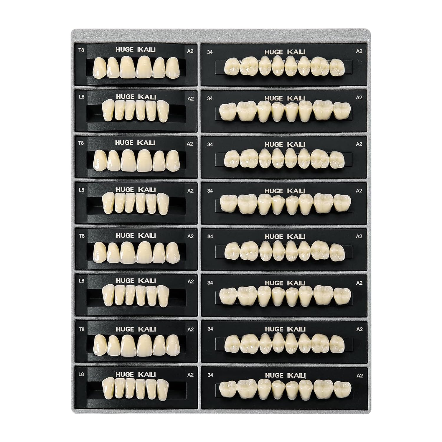 Dental Acrylic Resin Teeth Set | 112 Pcs Realistic Dentures for Natural Smiles 2