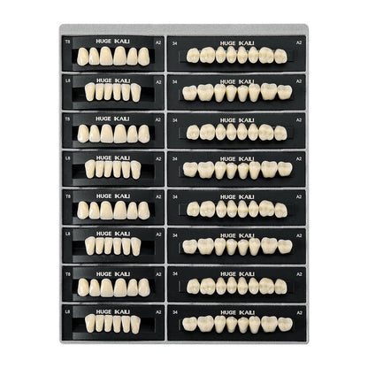 Dental Acrylic Resin Teeth Set | 112 Pcs Realistic Dentures for Natural Smiles 2