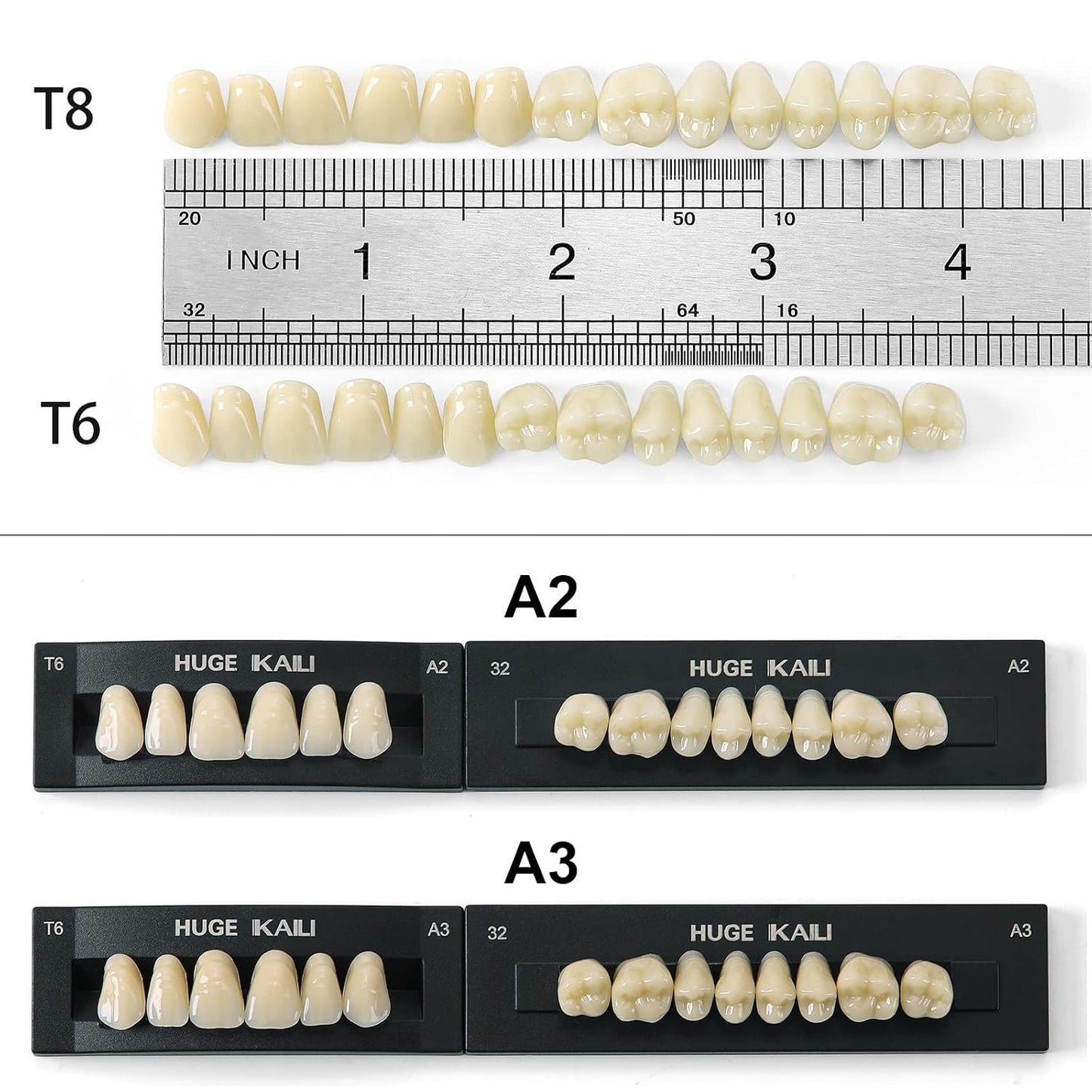 Dental Acrylic Resin Teeth Set | 112 Pcs Realistic Dentures for Natural Smiles 3