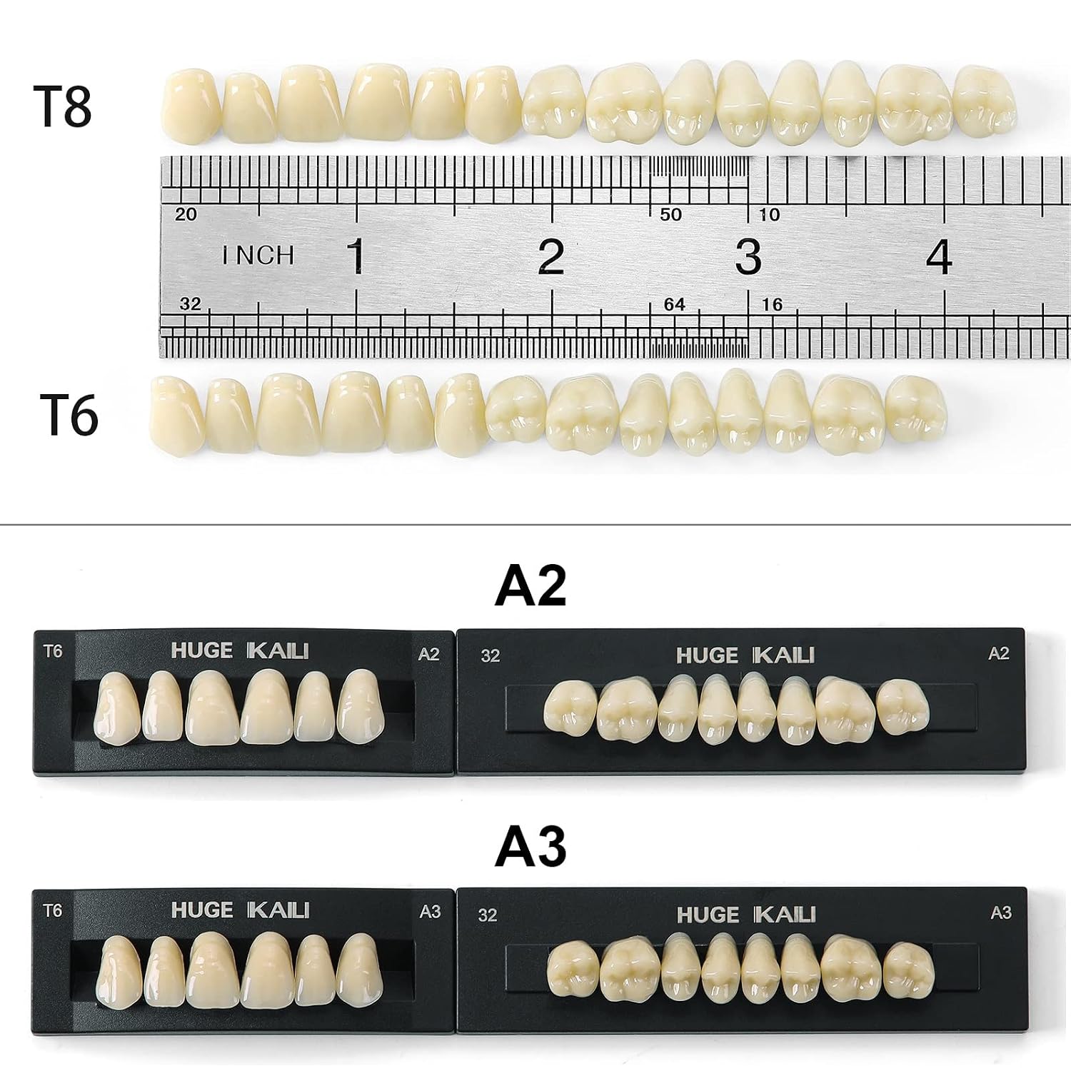 Dental Acrylic Resin Teeth Set | 112 Pcs Realistic Dentures for Natural Smiles 3