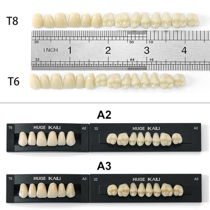 Dental Acrylic Resin Teeth Set | 112 Pcs Realistic Dentures for Natural Smiles 3
