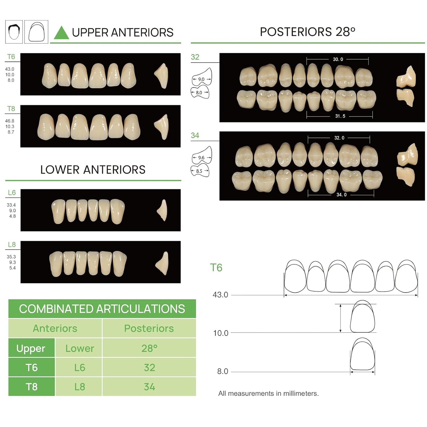 Dental Acrylic Resin Teeth Set | 112 Pcs Realistic Dentures for Natural Smiles 4