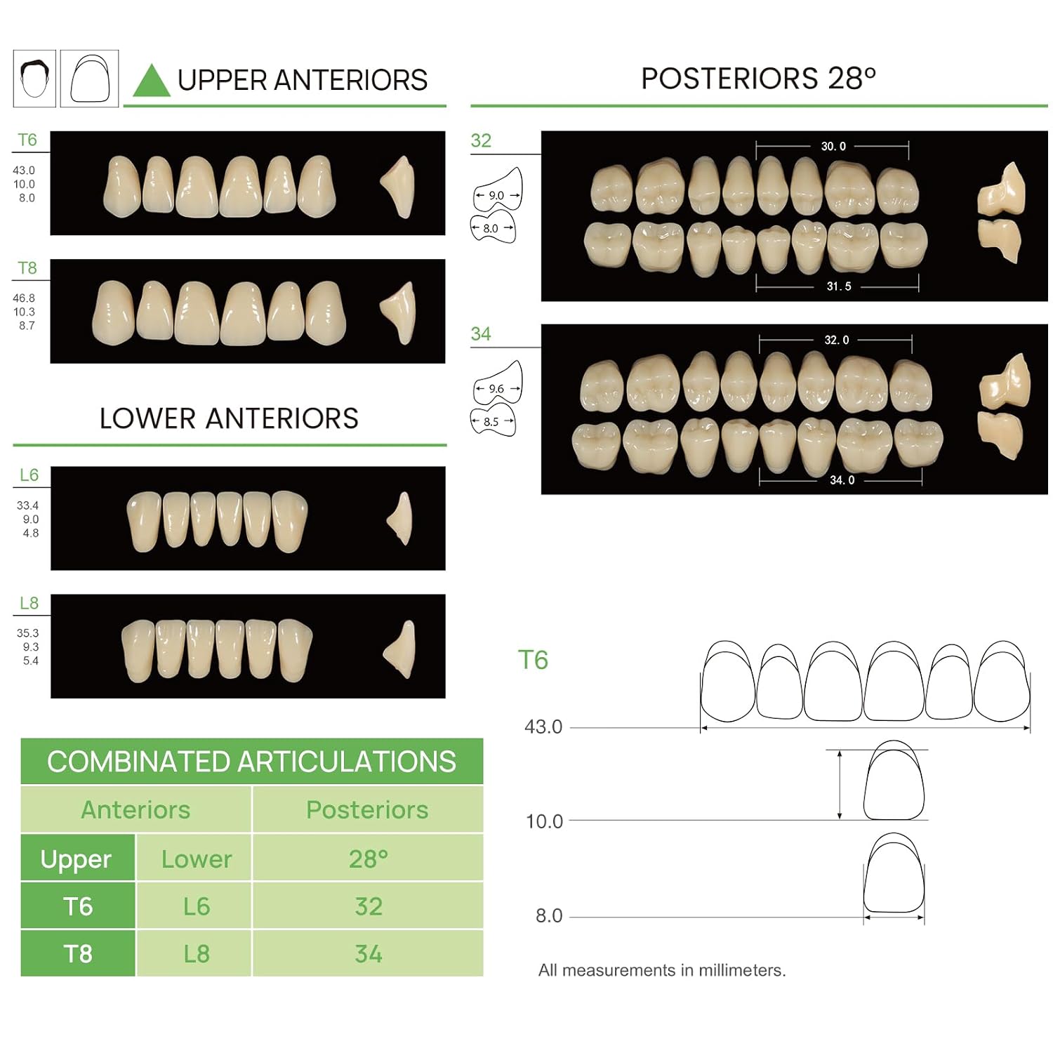 Dental Acrylic Resin Teeth Set | 112 Pcs Realistic Dentures for Natural Smiles 4
