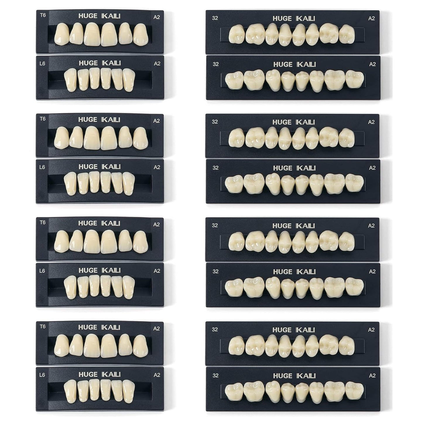 Dental Acrylic Resin Teeth Set | 112 Pcs Realistic Dentures for Natural Smiles 9