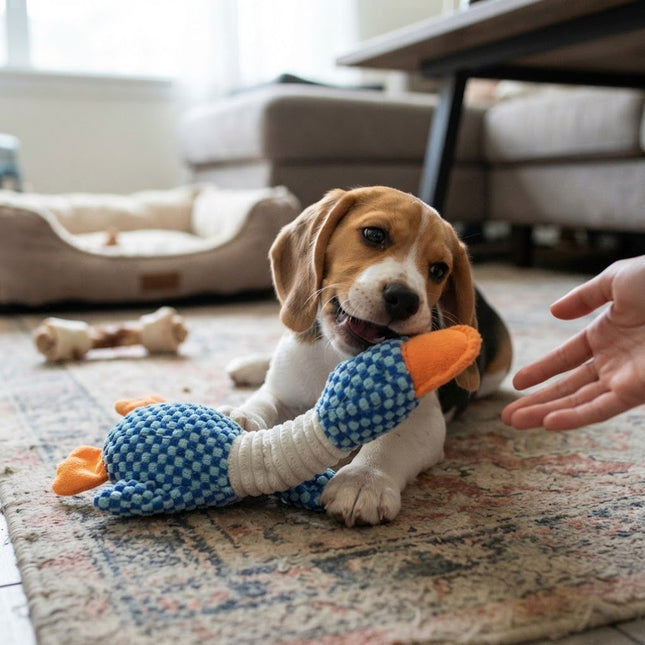 Dog Chew Toy with Squeaker, Puppy Chew Toy for Teething, Interactive Dog Toy for Small and Large Breeds