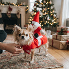 Dog Costume for Small Dogs, Santa Riding Dog Christmas Costume with Adjustable Straps, Funny Dog Xmas Outfit