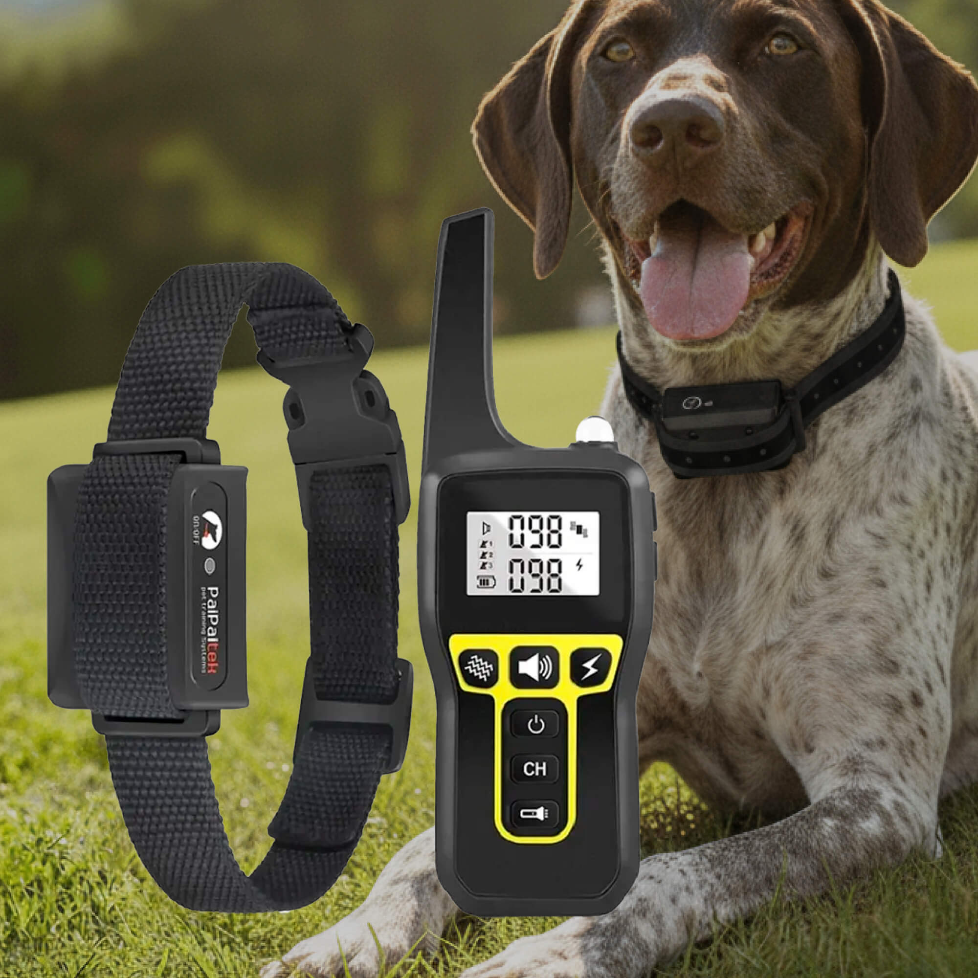 Dog Training Collar | 1000m Waterproof Remote Control with Adjustable Settings | Safe Training for All Dog Sizes 0