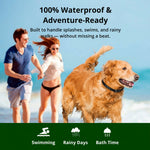 Dog Training Collar | 1000m Waterproof Remote Control with Adjustable Settings | Safe Training for All Dog Sizes 3