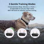 Dog Training Collar | 1000m Waterproof Remote Control with Adjustable Settings | Safe Training for All Dog Sizes 5