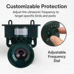 EcoGuard | Ultrasonic Bird Deterrent with Motion Detection | Humane Pigeon Repellent for Outdoor Spaces 4