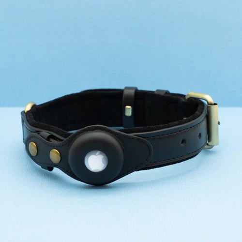 EcoTrack | Premium Dog Collar with AirTag Holder for Easy Tracking 0