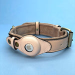 EcoTrack | Premium Dog Collar with AirTag Holder for Easy Tracking 4