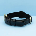 EcoTrack | Premium Dog Collar with AirTag Holder for Easy Tracking 6