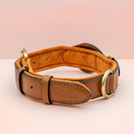 EcoTrack | Premium Dog Collar with AirTag Holder for Easy Tracking 7
